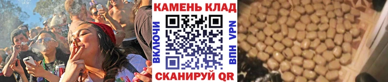 хочу наркоту Хасавюрт OMG зеркало ГАШ 40% ТГК