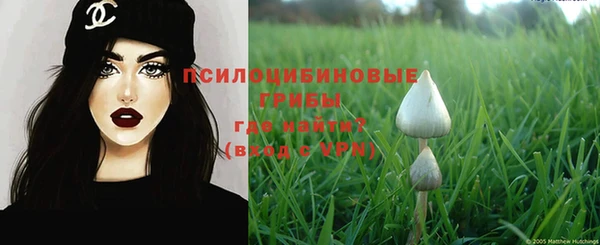 марихуана Абаза