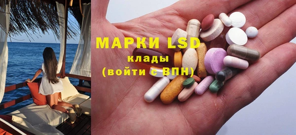 стаф Абинск