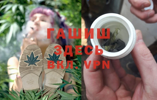 стаф Абинск