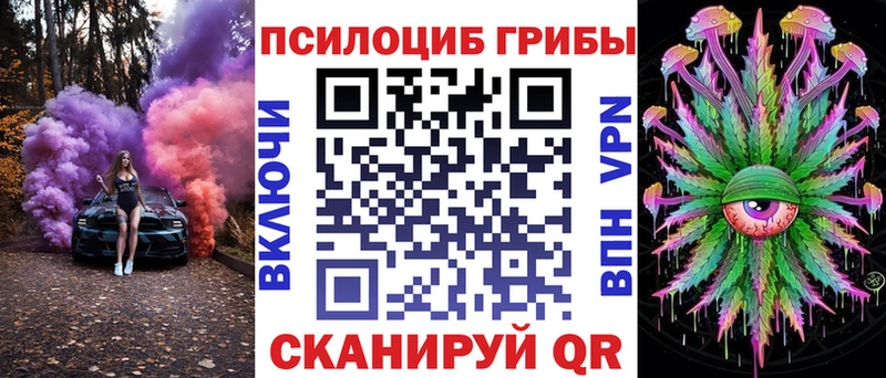 блэк спрут   Хасавюрт  Галлюциногенные грибы Magic Shrooms 