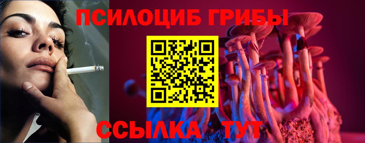Галлюциногенные грибы ЛСД Хасавюрт
