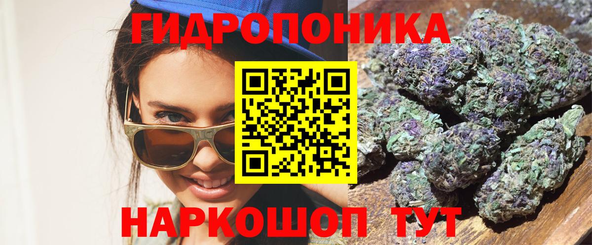 Каннабис планчик  Каннабис конопля  Конопля THC 21%  Вход с VPN  Хасавюрт 